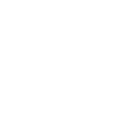 icon png